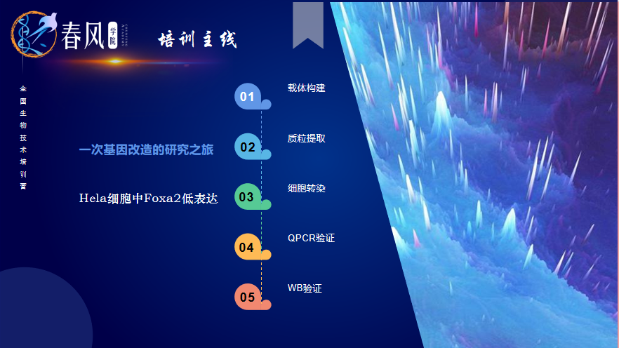 【春風(fēng)學(xué)院】2023年全國(guó)生物醫(yī)學(xué)分子細(xì)胞實(shí)驗(yàn)技術(shù)特訓(xùn)營(yíng)開(kāi)班！為期5天