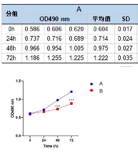 MTT檢測(cè)