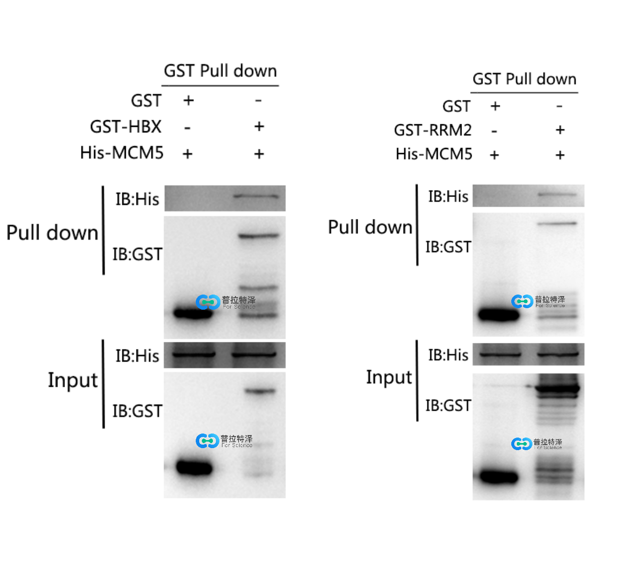 GST pull down