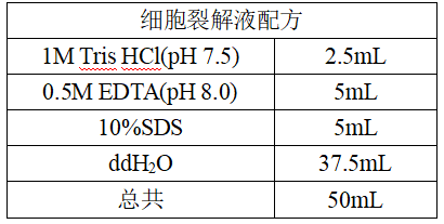 小白也能學(xué)會的細(xì)胞DNA提取步驟